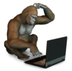 scimmia al computer