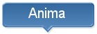 categoria anima
